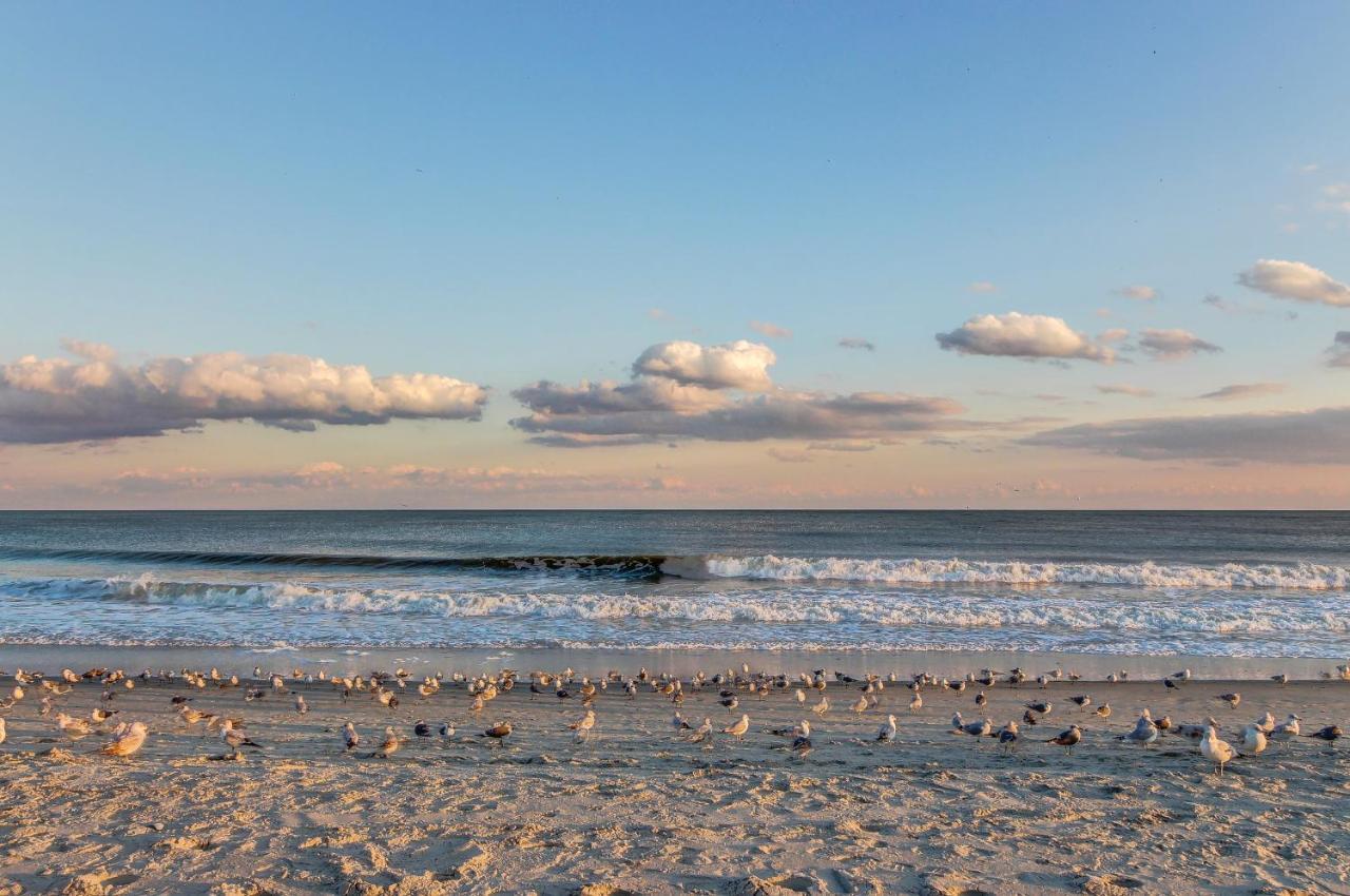 Hotel Sea Turtle Myrtle Beach Zewnętrze zdjęcie